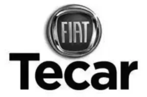 tecar-300x198-1-1.webp